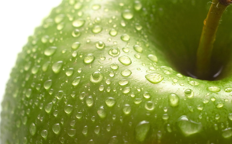 water drops on green apple HD wallpaper
